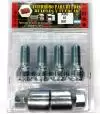 Bulones Antirrobo / Seguridad Volkswagen Nivus, T Cross, Taos, Virtus, Nuevo Polo, Golf modelo nuevo, Bora, Vento, Fox, Suran