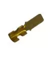 Terminal Pala Macho 3mm